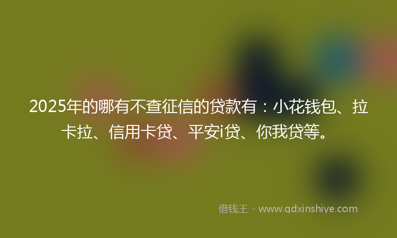 2025年的哪有不查征信的贷款有：小花钱包、拉卡拉、信用卡贷、平安i贷、你我贷等。