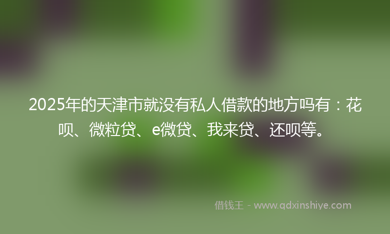 2025年的天津市就没有私人借款的地方吗有：花呗、微粒贷、e微贷、我来贷、还呗等。