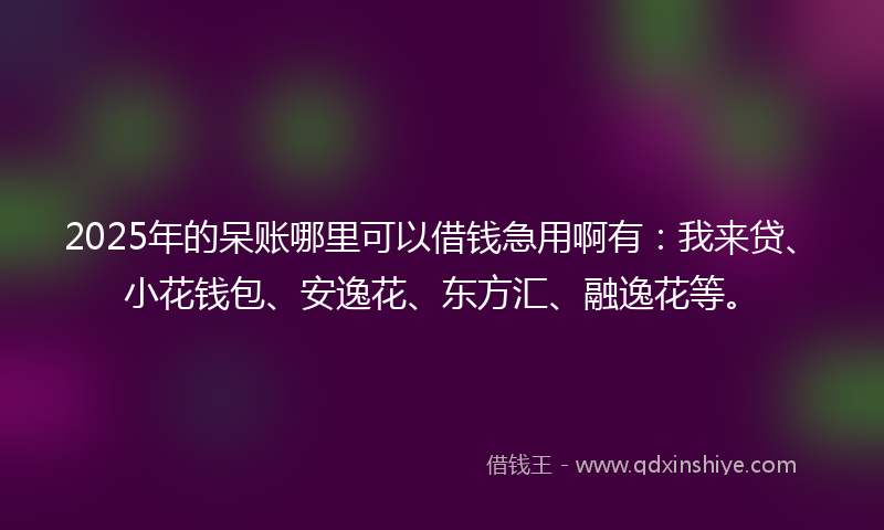 2025年的呆账哪里可以借钱急用啊有：我来贷、小花钱包、安逸花、东方汇、融逸花等。