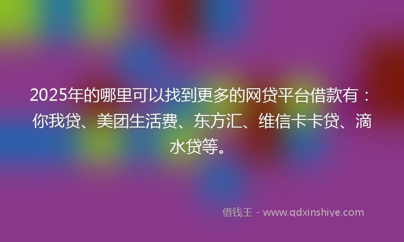 2025年的哪里可以找到更多的网贷平台借款有：你我贷、美团生活费、东方汇、维信卡卡贷、滴水贷等。
