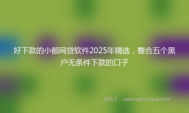 好下款的小额网贷软件2025年精选，整合五个黑户无条件下款的口子
