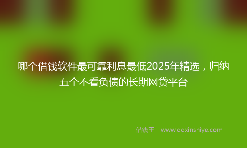哪个借钱软件最可靠利息最低2025年精选，归纳五个不看负债的长期网贷平台