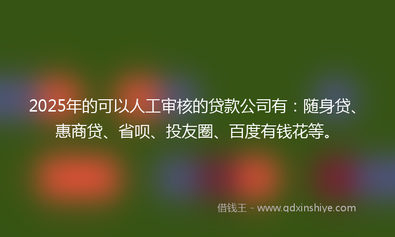 2025年的可以人工审核的贷款公司有：随身贷、惠商贷、省呗、投友圈、百度有钱花等。