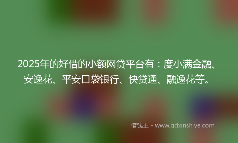 2025年的好借的小额网贷平台有：度小满金融、安逸花、平安口袋银行、快贷通、融逸花等。