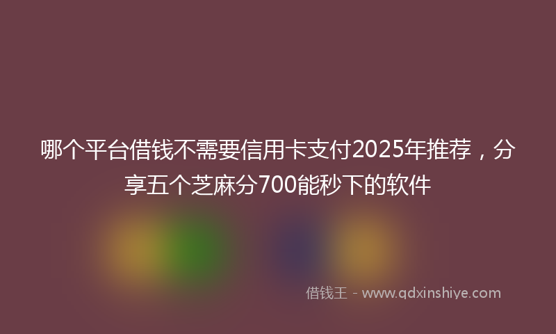 哪个平台借钱不需要信用卡支付2025年推荐，分享五个芝麻分700能秒下的软件