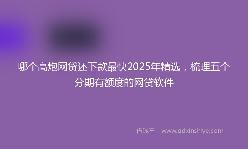 哪个高炮网贷还下款最快2025年精选，梳理五个分期有额度的网贷软件