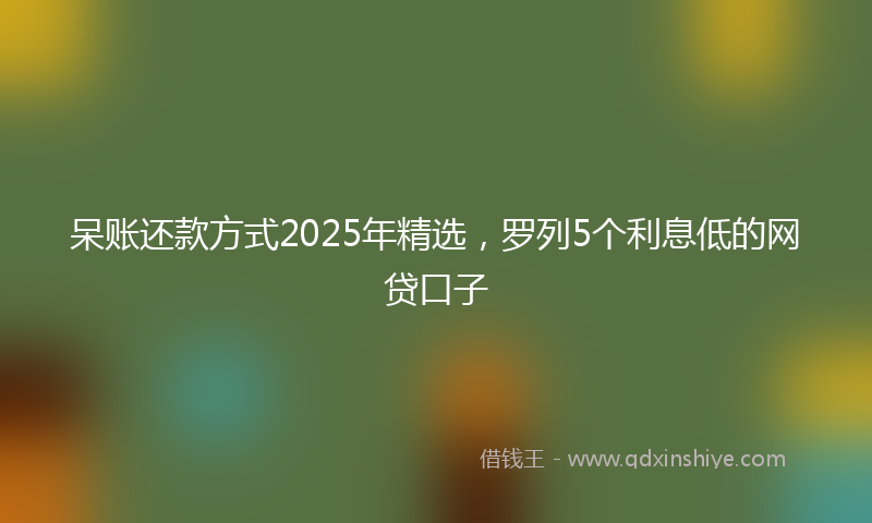 呆账还款方式2025年精选，罗列5个利息低的网贷口子
