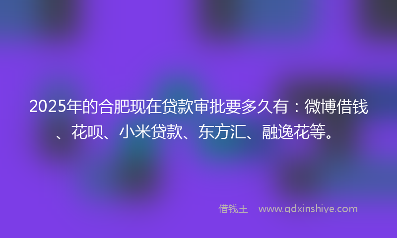 2025年的合肥现在贷款审批要多久有：微博借钱、花呗、小米贷款、东方汇、融逸花等。