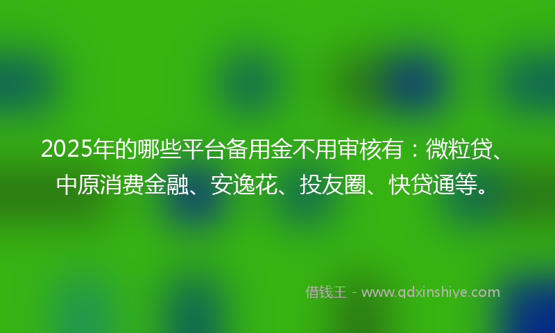 2025年的哪些平台备用金不用审核有：微粒贷、中原消费金融、安逸花、投友圈、快贷通等。