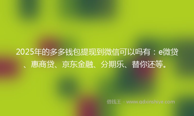2025年的多多钱包提现到微信可以吗有：e微贷、惠商贷、京东金融、分期乐、替你还等。