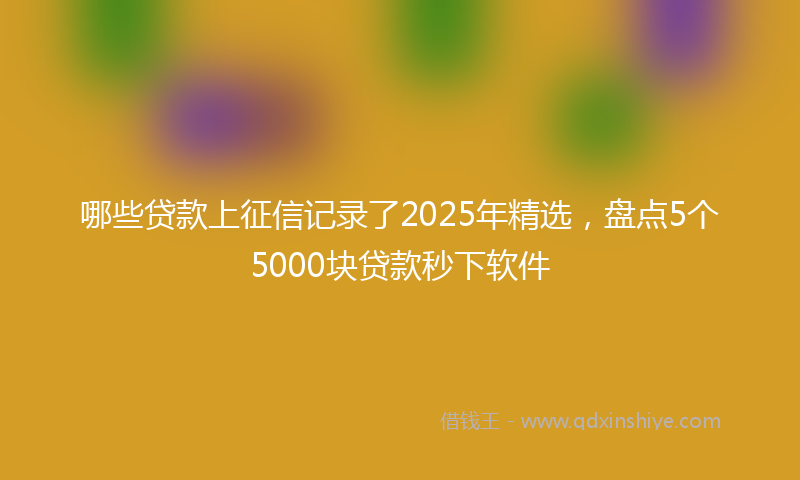 哪些贷款上征信记录了2025年精选，盘点5个5000块贷款秒下软件