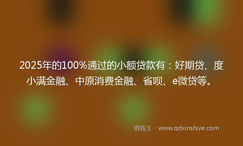 2025年的100%通过的小额贷款有：好期贷、度小满金融、中原消费金融、省呗、e微贷等。
