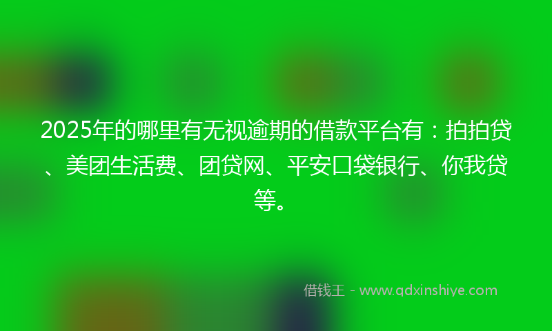 2025年的哪里有无视逾期的借款平台有：拍拍贷、美团生活费、团贷网、平安口袋银行、你我贷等。