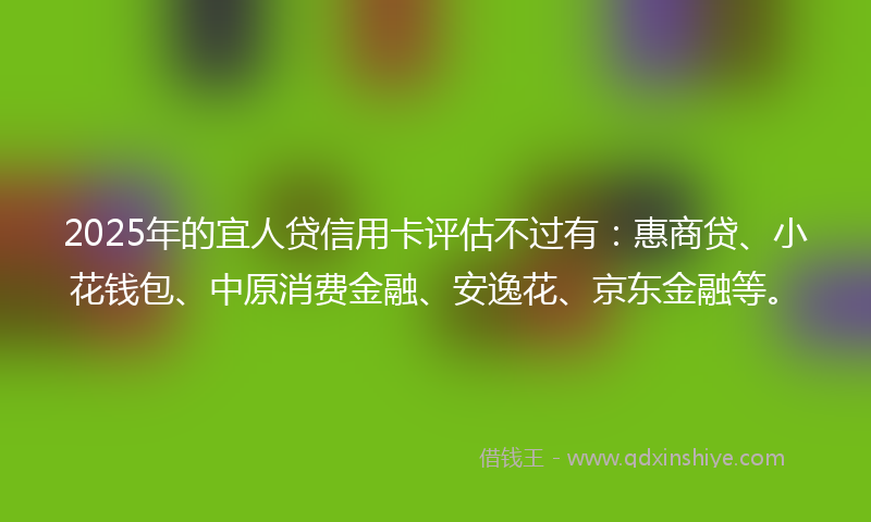 2025年的宜人贷信用卡评估不过有：惠商贷、小花钱包、中原消费金融、安逸花、京东金融等。