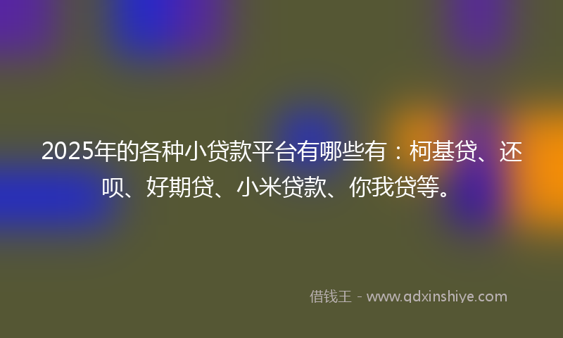 2025年的各种小贷款平台有哪些有：柯基贷、还呗、好期贷、小米贷款、你我贷等。