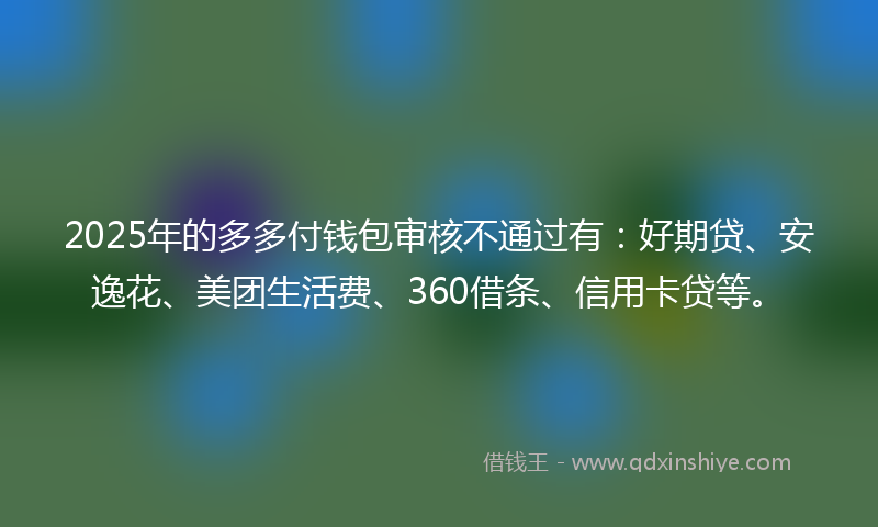 2025年的多多付钱包审核不通过有：好期贷、安逸花、美团生活费、360借条、信用卡贷等。
