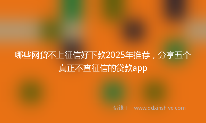 哪些网贷不上征信好下款2025年推荐，分享五个真正不查征信的贷款app
