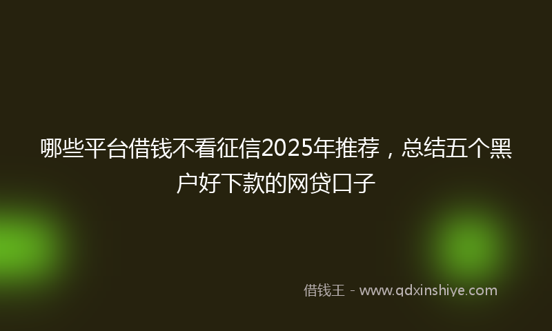 哪些平台借钱不看征信2025年推荐，总结五个黑户好下款的网贷口子