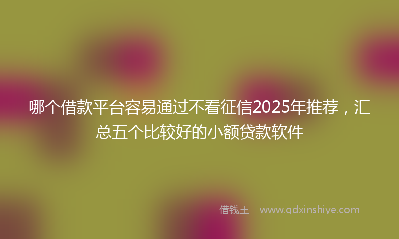 哪个借款平台容易通过不看征信2025年推荐，汇总五个比较好的小额贷款软件