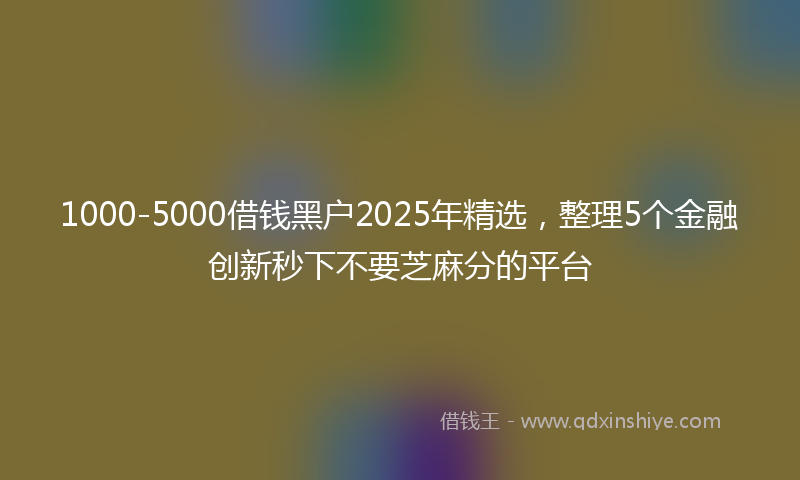 1000-5000借钱黑户2025年精选，整理5个金融创新秒下不要芝麻分的平台