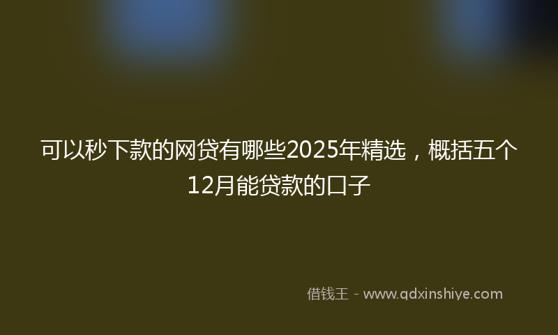 可以秒下款的网贷有哪些2025年精选，概括五个12月能贷款的口子