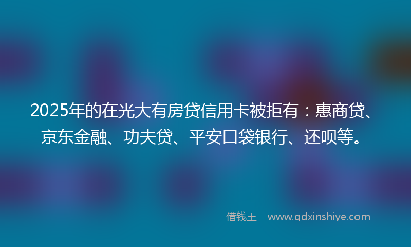 2025年的在光大有房贷信用卡被拒有：惠商贷、京东金融、功夫贷、平安口袋银行、还呗等。