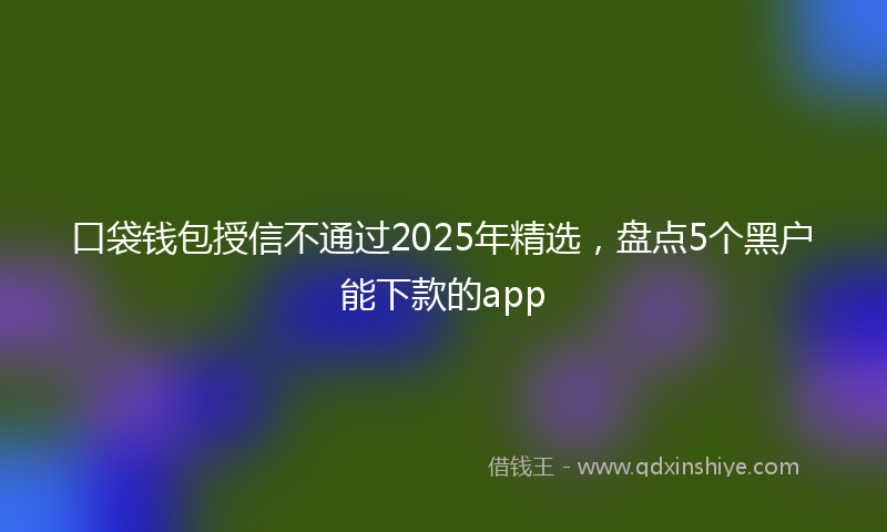 口袋钱包授信不通过2025年精选，盘点5个黑户能下款的app