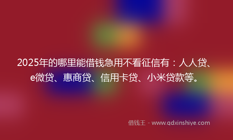 2025年的哪里能借钱急用不看征信有：人人贷、e微贷、惠商贷、信用卡贷、小米贷款等。