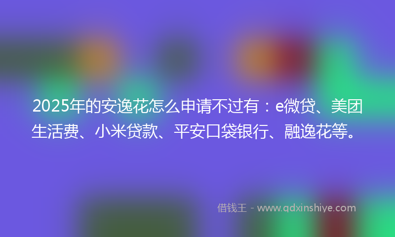 2025年的安逸花怎么申请不过有：e微贷、美团生活费、小米贷款、平安口袋银行、融逸花等。