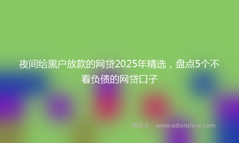 夜间给黑户放款的网贷2025年精选，盘点5个不看负债的网贷口子