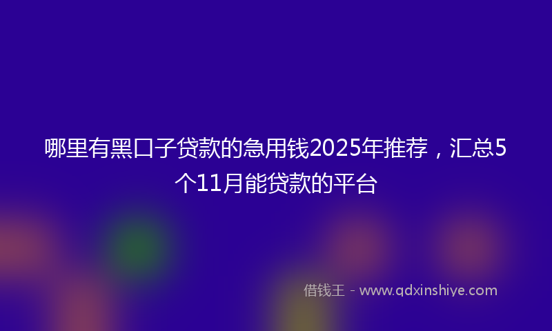 哪里有黑口子贷款的急用钱2025年推荐，汇总5个11月能贷款的平台