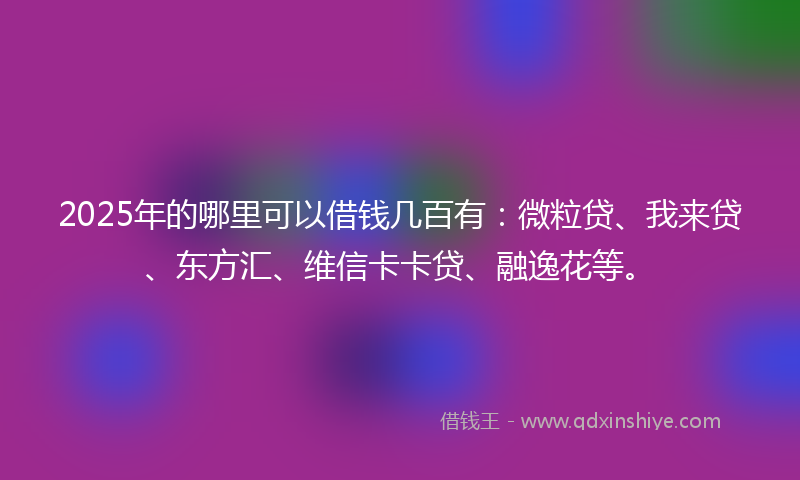 2025年的哪里可以借钱几百有：微粒贷、我来贷、东方汇、维信卡卡贷、融逸花等。