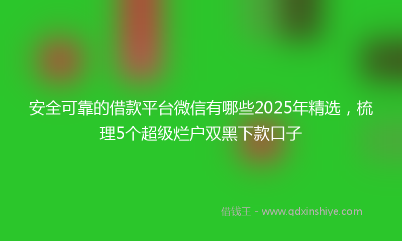 安全可靠的借款平台微信有哪些2025年精选，梳理5个超级烂户双黑下款口子