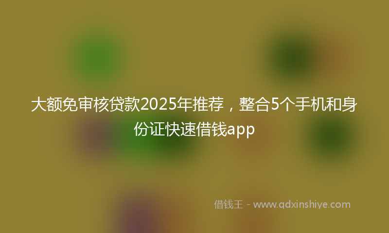 大额免审核贷款2025年推荐，整合5个手机和身份证快速借钱app