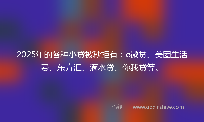 2025年的各种小贷被秒拒有：e微贷、美团生活费、东方汇、滴水贷、你我贷等。