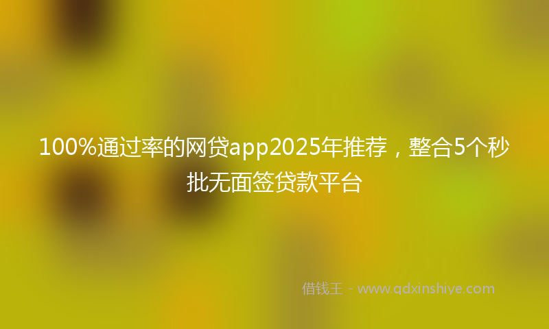 100%通过率的网贷app2025年推荐，整合5个秒批无面签贷款平台