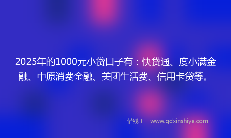 2025年的1000元小贷口子有：快贷通、度小满金融、中原消费金融、美团生活费、信用卡贷等。
