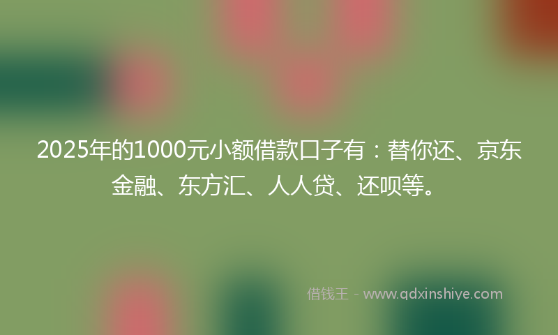 2025年的1000元小额借款口子有：替你还、京东金融、东方汇、人人贷、还呗等。