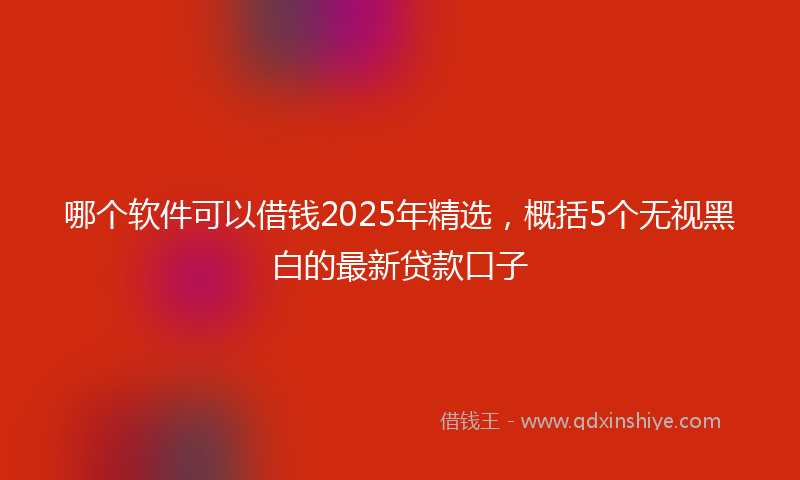 哪个软件可以借钱2025年精选，概括5个无视黑白的最新贷款口子