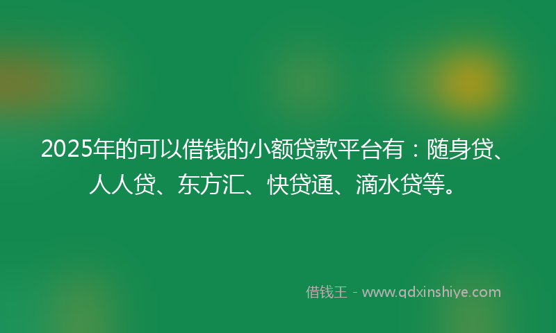 2025年的可以借钱的小额贷款平台有：随身贷、人人贷、东方汇、快贷通、滴水贷等。