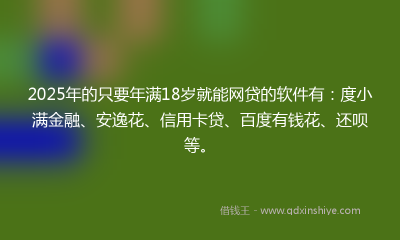 2025年的只要年满18岁就能网贷的软件有：度小满金融、安逸花、信用卡贷、百度有钱花、还呗等。