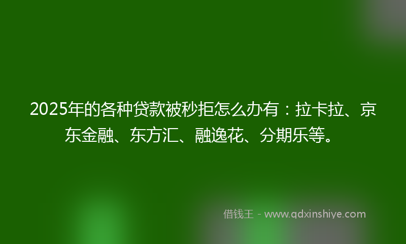 2025年的各种贷款被秒拒怎么办有：拉卡拉、京东金融、东方汇、融逸花、分期乐等。