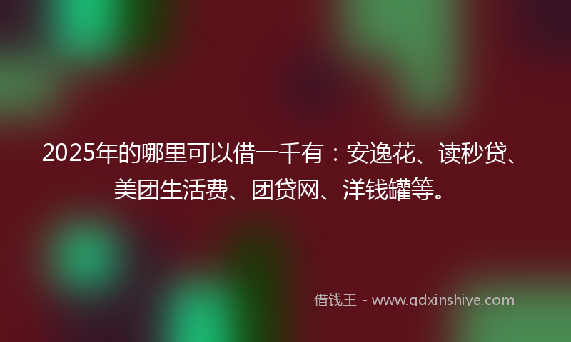 2025年的哪里可以借一千有：安逸花、读秒贷、美团生活费、团贷网、洋钱罐等。