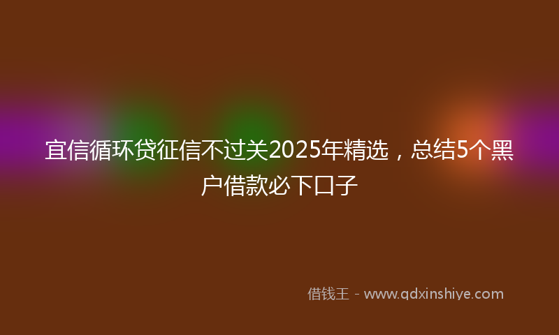 宜信循环贷征信不过关2025年精选，总结5个黑户借款必下口子
