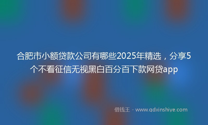 合肥市小额贷款公司有哪些2025年精选，分享5个不看征信无视黑白百分百下款网贷app