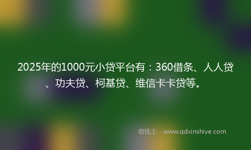 2025年的1000元小贷平台有：360借条、人人贷、功夫贷、柯基贷、维信卡卡贷等。