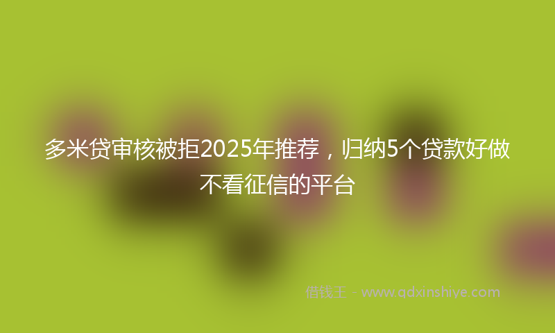 多米贷审核被拒2025年推荐，归纳5个贷款好做不看征信的平台