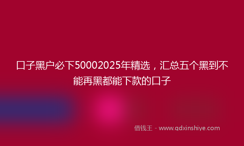 口子黑户必下50002025年精选，汇总五个黑到不能再黑都能下款的口子