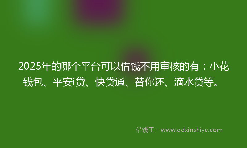 2025年的哪个平台可以借钱不用审核的有：小花钱包、平安i贷、快贷通、替你还、滴水贷等。