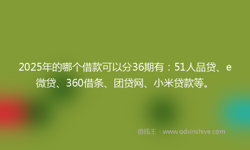 2025年的哪个借款可以分36期有：51人品贷、e微贷、360借条、团贷网、小米贷款等。